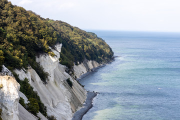 Forest on top of a white cliff by seaside