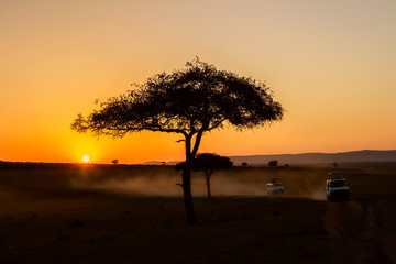 Plakat African sunrise with acacia trees and safari cars in Masai Mara, Kenya. Savannah background in Africa. Safari concept