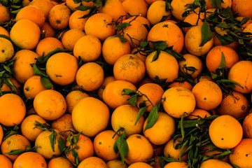 Background of the many fresh ripe orange fruits