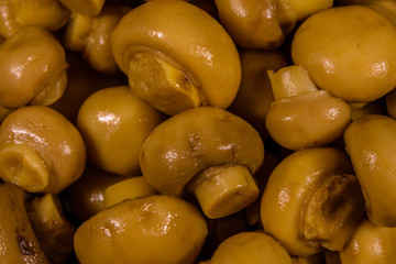 Texture of the canned mushrooms for the background