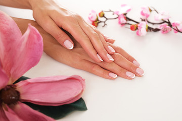 The picture of female hands with perfectly done manicure.