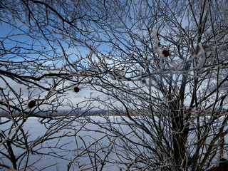 Schneelandschaft Eifel