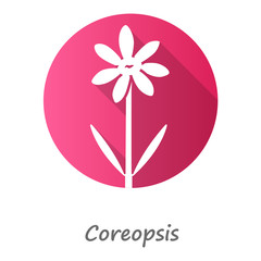 Coreopsis pink flat design long shadow glyph icon. Rudbeckia garden flower with name inscription. Calliopsis plant inflorescence. Blooming daisy, camomile wildflower. Vector silhouette illustration