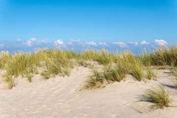 Beach with Marram Grass on the island Sylt, Germany