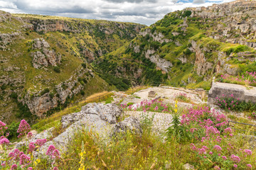 Fototapeta na wymiar Italy, Basilicata, Province of Matera, Matera. View of Gravina ravine and wildflowers from Matera.