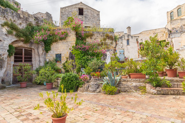 Italy, Basilicata, Province of Matera, Matera. Houses and plants in planters with wildflowers growing from cracks in buildings.