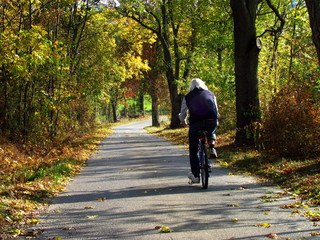 cyclist riding the road in autumn landscape, fall in countryside