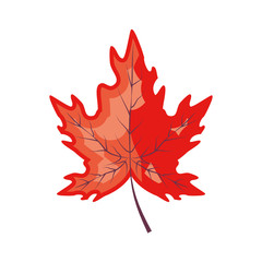 maple leafs autumn pattern background