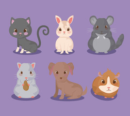 group of cute baby animals