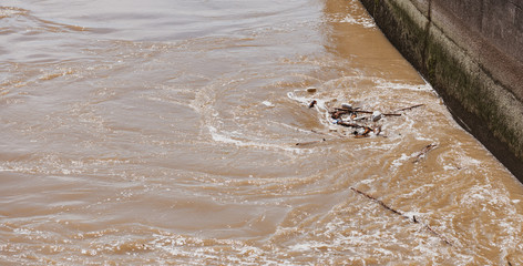 Rhine river with high pollution and mud in a vortex near the electric station