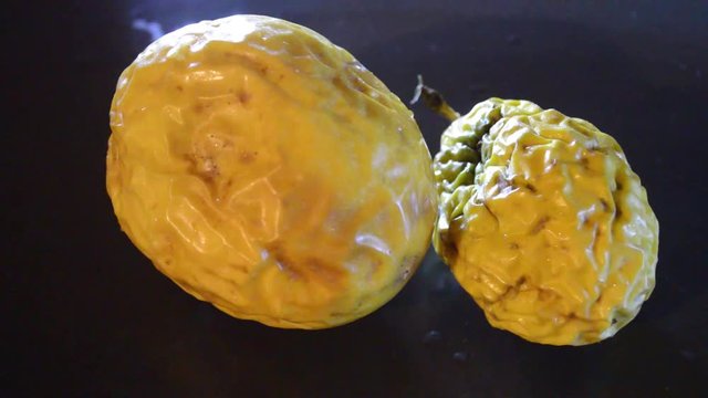 camera moving through scene for two yellow passion fruits and dramatic light