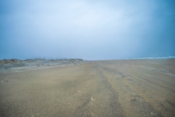Shared Horizon
