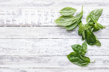 Fresh basil leaves on the wooden white background. Top view with copy space.