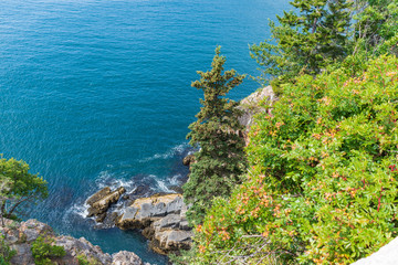 schooner point acadia national park