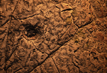 walls of cave