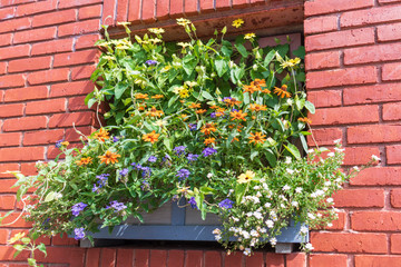 Naklejka premium flowers on the wall