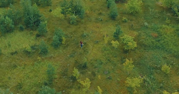 Girl walks on a lawn in a coniferous forest and looks at mushrooms. Aerial view. Camera span. Top view.