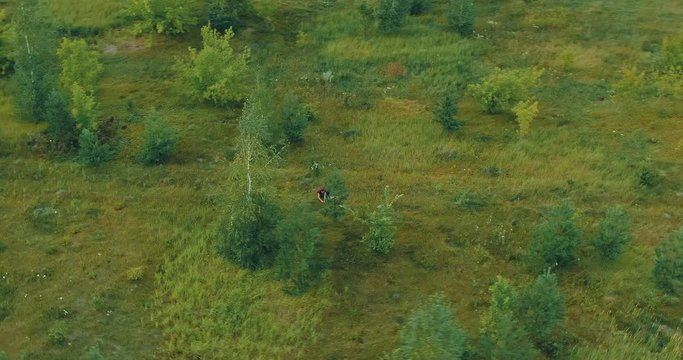 Girl sits near a spruce and collects mushrooms. Autumn harvest. Circular span of the camera. Aerial view video from copter. Top view.