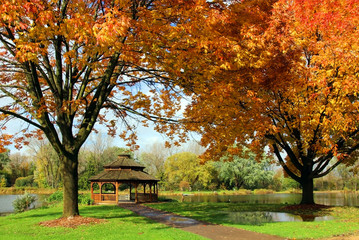 Beautiful colorful autumn nature background. Scenic landscape with bright color trees around the pond and wooden gazebo in a city park. Lakeview park, Middleton, Madison area, WI, USA. - Powered by Adobe