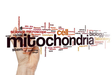 Mitochondria word cloud