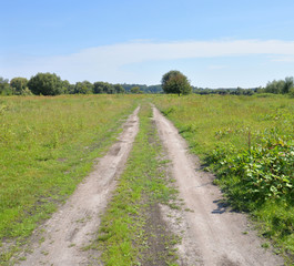 Rural road in the field.