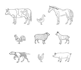 Vector hand drawn sketch set bundle of domestic animals isolated on white background