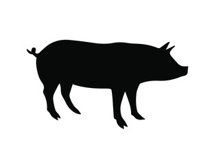 Vector black pig silhouette isolated on white background