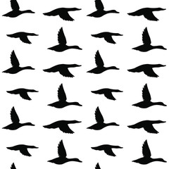 Vector seamless pattern of black flying duck silhouette isolated on white background