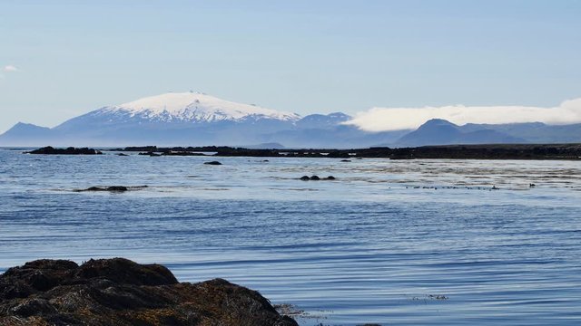 Ytri Tunga -  beach in Iceland.