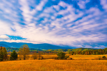 Fototapeta na wymiar Smoky Mountain Meadow