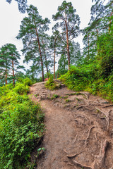Fototapeta premium Mountain path. Gorny Altai, Siberia, Russia