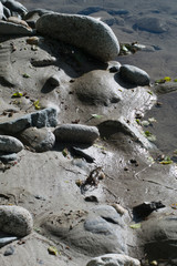 Sands and stones of the river