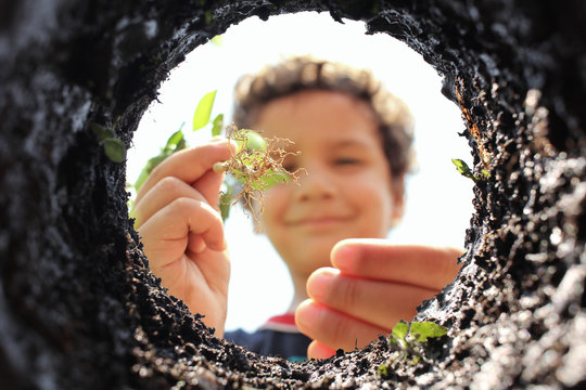 niño plantando árbol planting tree reforestando reforesting	
