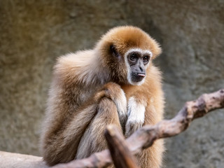 Langeweile haben ist schön