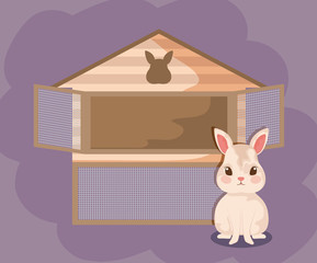 cute rabbit baby animal with house