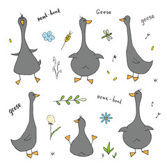 Goose Doodles Set. Cute Geese sketch. Hand drawn Cartoon Vector illustration on white background