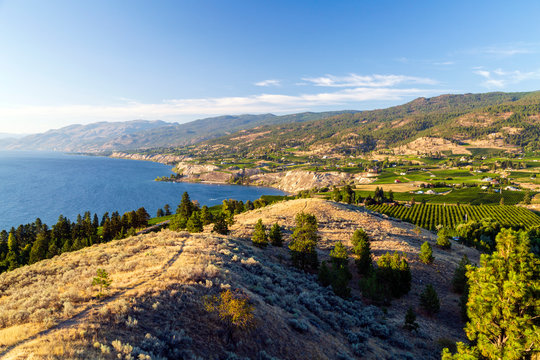 Penticton Okanagan Valley Vineyard