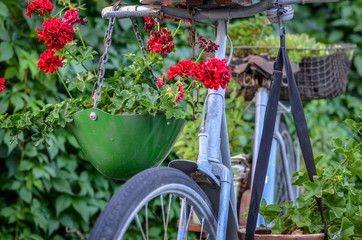 Fototapeta na wymiar Old vintage bicycle decorated with flowers and green plants. Close up,