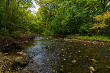 Stream through Waterfall Glen