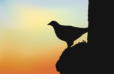bird silhouette draw