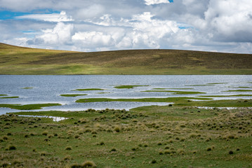 Across the highlands of Peru, endless wetlands fill the horizon with dappled beauty of varying shades of grass and pools of water beneath a cloudy sky