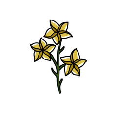 flower doodle icon, traditional vector illustration
