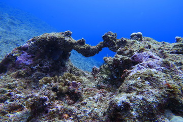 宮古島市下地島の海底にある小さなアーチ