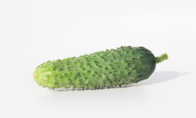 Fresh cucumber was shot close up on white background