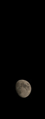 Photo of the moon in waxing gibbous intermediate phase with copy space above.