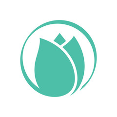 Obraz premium Tulip flower