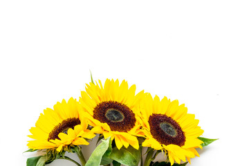 Bouquet of sunflowers on white background top view mockup