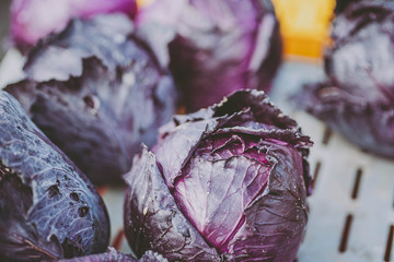 Obraz premium Fresh purple cabbages in outdoor market