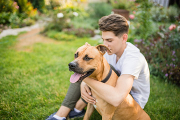 Happy young businessman, affectionately affectionate dog outdoors in sunset. walking with a dog in the park. stafford 