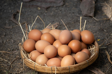 Many eggs lay on a pile of straw. Put in rattan basket